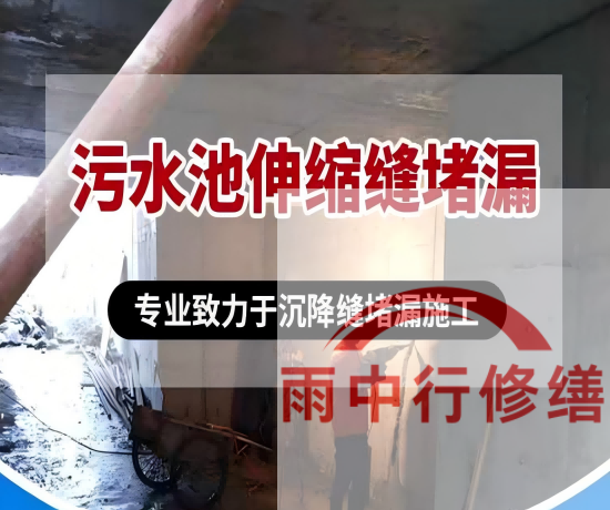 三明2026年高分子防水卷材成高端市场主流，光伏屋面需求爆发