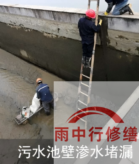 三明2026年防水龙头半月两次涨价，行业格局重塑信号